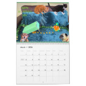 Le calendrier Bumble Bunch 2023 (Mar 2026)