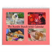 Le calendrier Bumble Bunch 2023 (Protection)