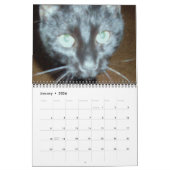 LE calendrier CHAT NOIR (Jan 2026)