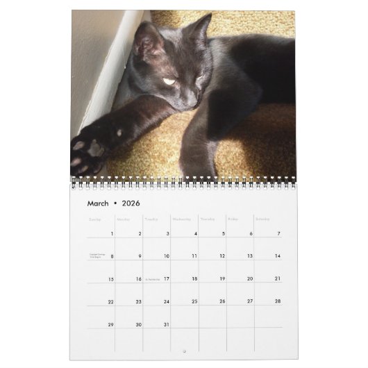 LE calendrier CHAT NOIR (Mar 2026)