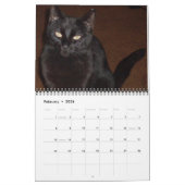 LE calendrier CHAT NOIR (Feb 2026)