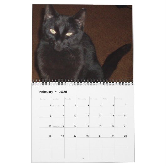 LE calendrier CHAT NOIR (Feb 2026)