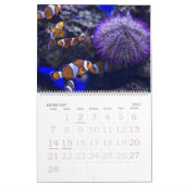 Le calendrier d'aquarium (Feb 2027)