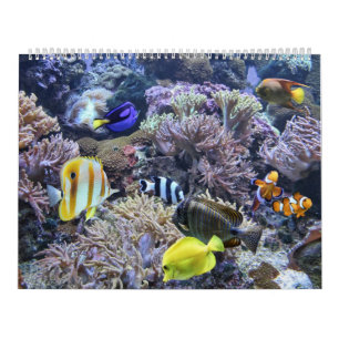 Le calendrier d'aquarium