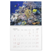 Le calendrier d'aquarium (Jan 2026)