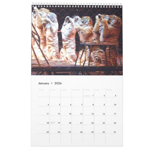 Le calendrier de CIRQUE (Jan 2026)