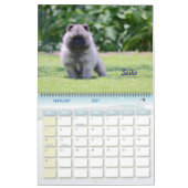 Le calendrier de Keeshond de 2016 trompettes : (Feb 2027)