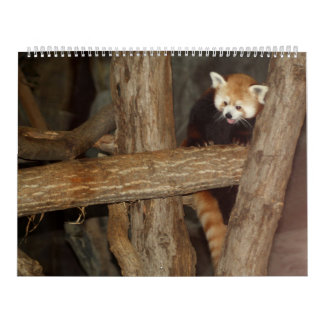 Le calendrier de la photo de faune