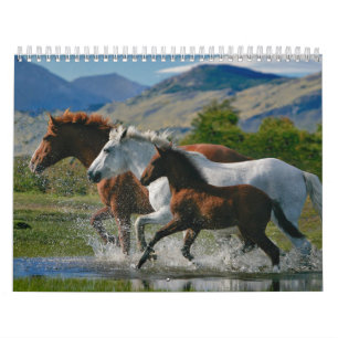 Le calendrier de l'amant de cheval