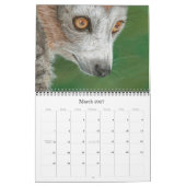 Le calendrier de l'Art de la faune 2011 par Morgan (Mar 2027)