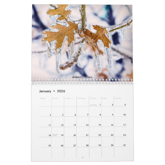 Le calendrier de l'état du Texas (Jan 2026)