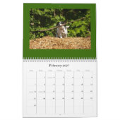 Le calendrier de Robin (Feb 2027)