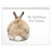 Le calendrier de WildRescue 2013 ! (Protection)