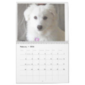 Le calendrier d'ERU 2014 (Feb 2026)