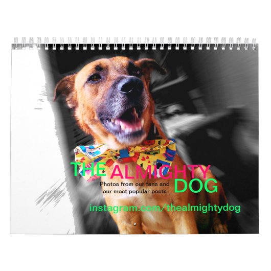 Le calendrier des animaux le plus mignon du chien (Protection)