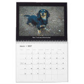 Le calendrier des chiens de Rainey Street (Mar 2027)