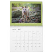 Le calendrier des chiens de Rainey Street (Jan 2027)