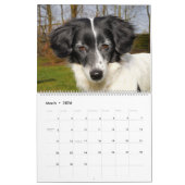 Le Calendrier des Chiens en fin de compte (Mar 2026)