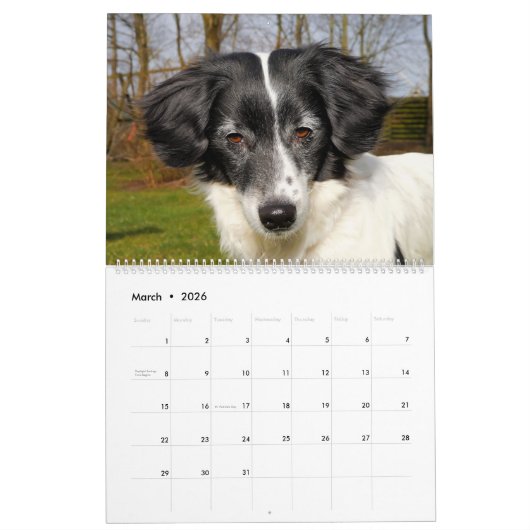 Le Calendrier des Chiens en fin de compte (Mar 2026)