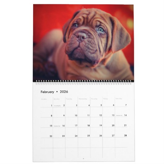 Le Calendrier des Chiens en fin de compte (Feb 2026)