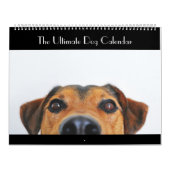 Le Calendrier des Chiens en fin de compte (Protection)