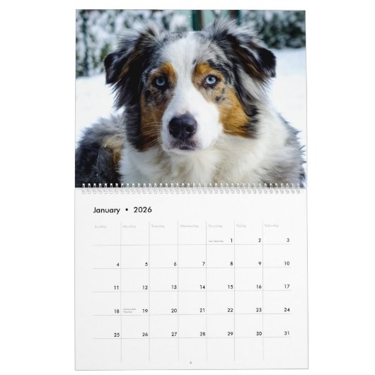 Le Calendrier des Chiens en fin de compte (Jan 2026)