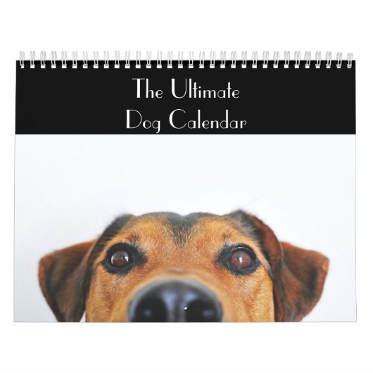Le Calendrier des Chiens en fin de compte (Protection)