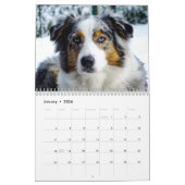 Le Calendrier des Chiens en fin de compte (Jan 2026)