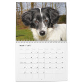 Le Calendrier des Chiens en fin de compte (Mar 2027)