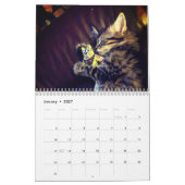 Le calendrier des cônes du Maine (Jan 2027)