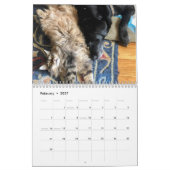 Le calendrier des cônes du Maine (Feb 2027)