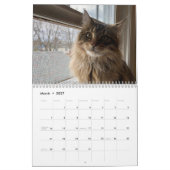Le calendrier des cônes du Maine (Mar 2027)