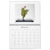 Le calendrier des Zen-Images 2009 (Mar 2026)