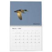 Le calendrier du sportif - chassant l'année ronde (Feb 2026)