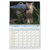 Le calendrier Feral LIfe Photo Cats 2025 (Feb 2026)