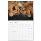 Le calendrier final de chèvre (Feb 2026)