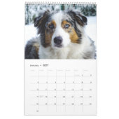 Le calendrier final de chien (Jan 2027)