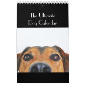 Le calendrier final de chien (Protection)