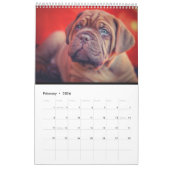 Le calendrier final de chien (Feb 2026)