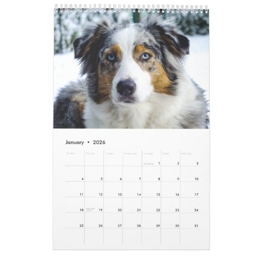 Le calendrier final de chien (Jan 2026)
