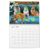 Le calendrier Itsy Carlin Memorial Bumble Bunch 20 (Mar 2027)