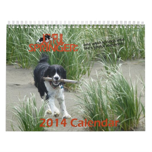 Le calendrier joyeux de Springer 2014 (Protection)