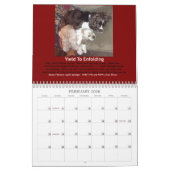 Le calendrier joyeux de Springer 2014 (Feb 2026)