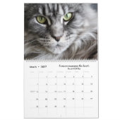 Le calendrier Kitty Gold Glitter (Mar 2027)