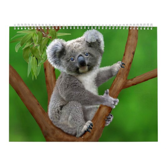 Le calendrier mensuel le plus mignon de la nature (Protection)