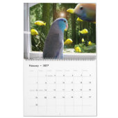 Le calendrier photographique annuel des Parrotlets (Feb 2027)