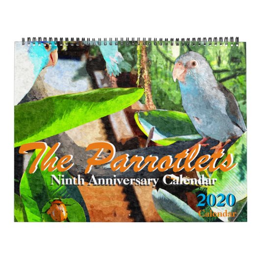 Le calendrier photographique annuel des Parrotlets (Protection)