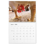 Le calendrier Real Boo the Roo 2020 (Mar 2026)
