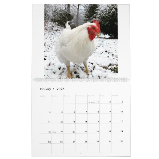 Le calendrier Real Boo the Roo 2020 (Jan 2026)
