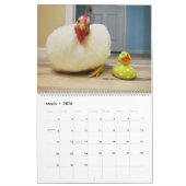Le calendrier Real Boo the Roo 2022 (Mar 2026)
